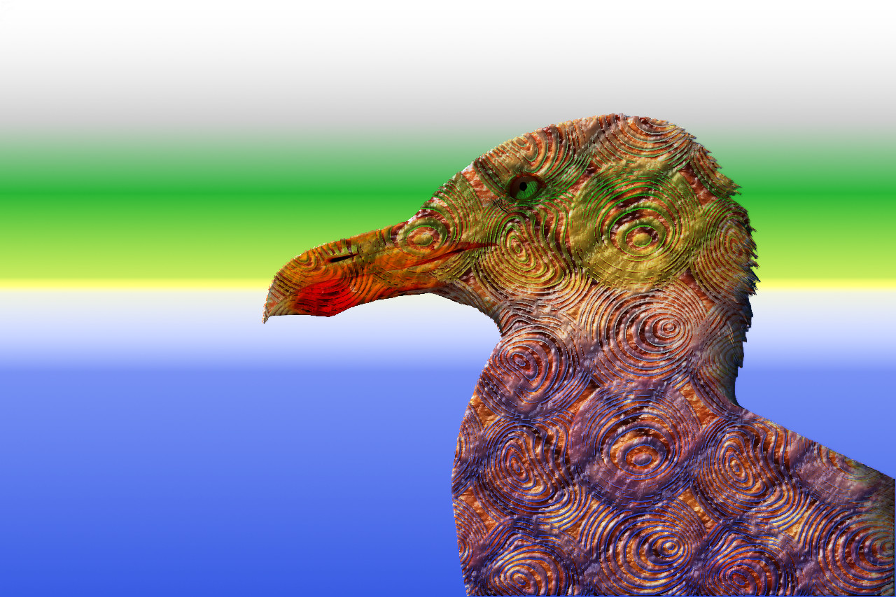 seagull-517091_Rod_ChewedText Image.jpg