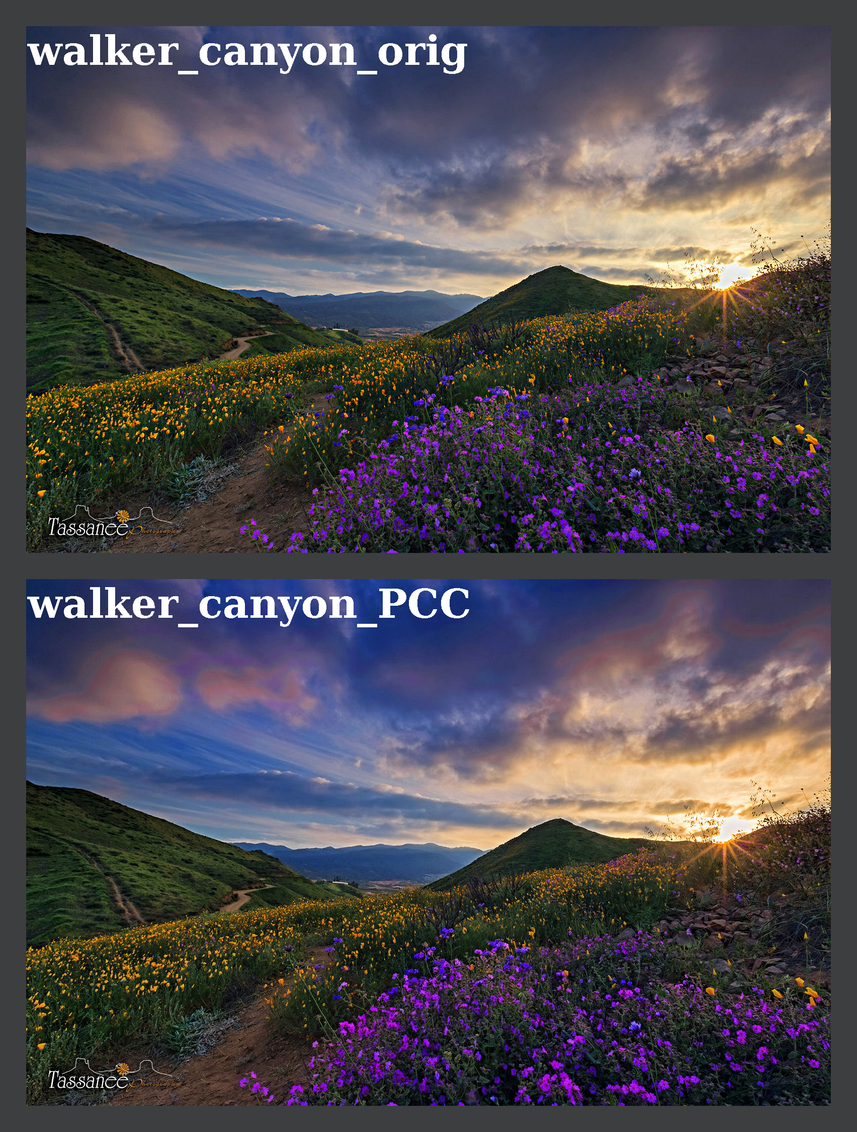walker_canyon_montage.jpg