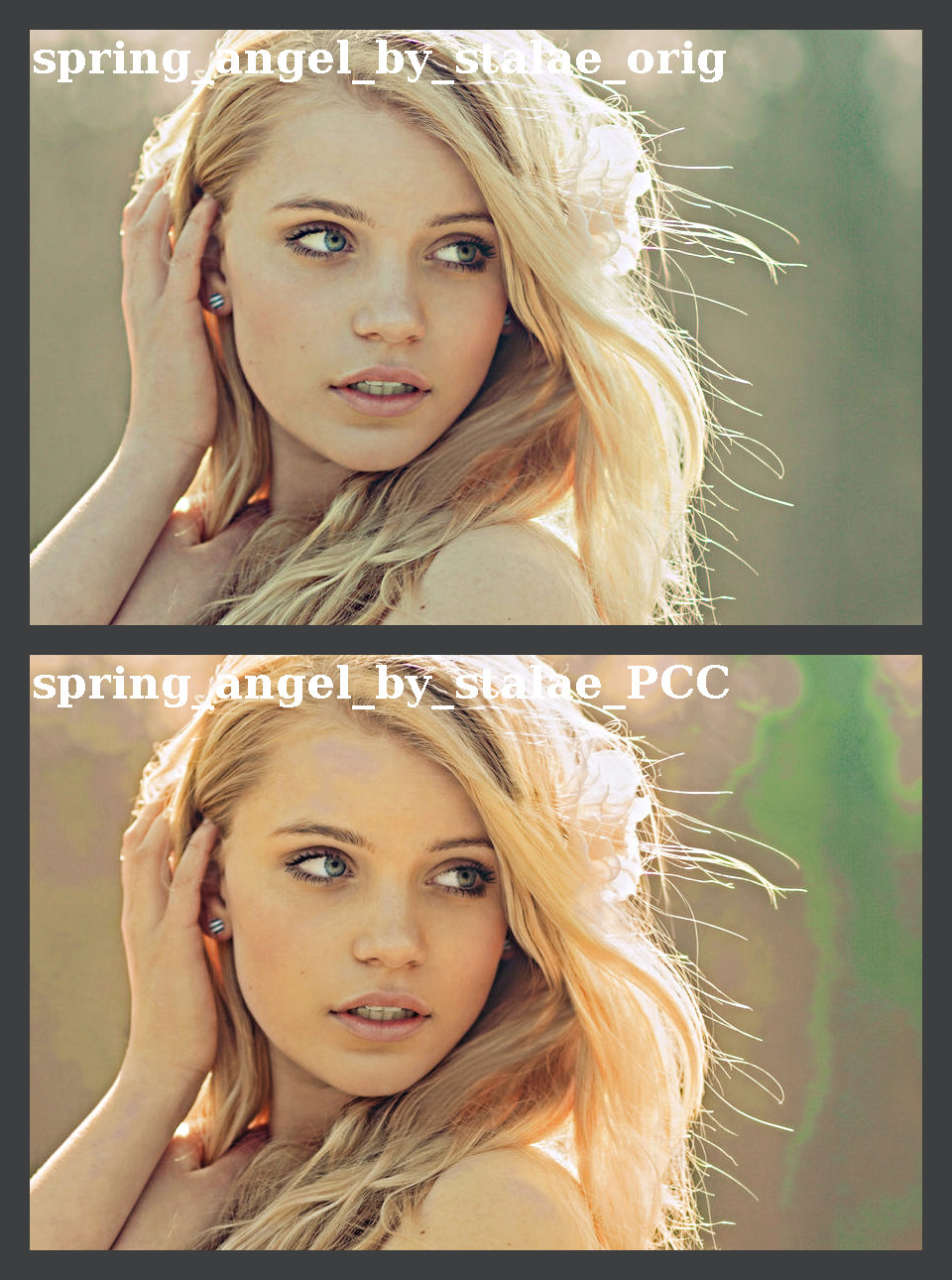 spring_angel_by_stalae_montage.jpg