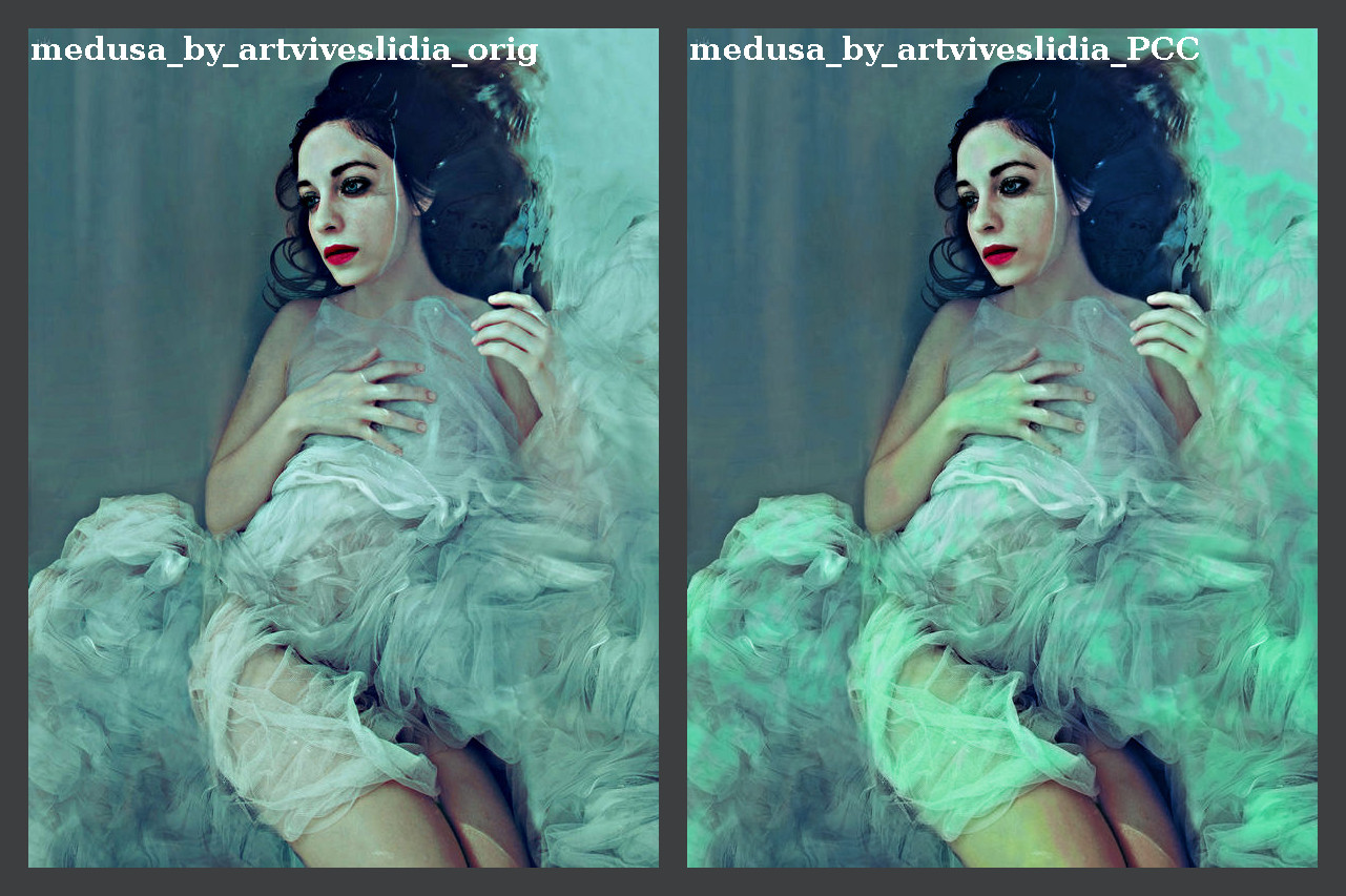 medusa_by_artviveslidia_montage.jpg
