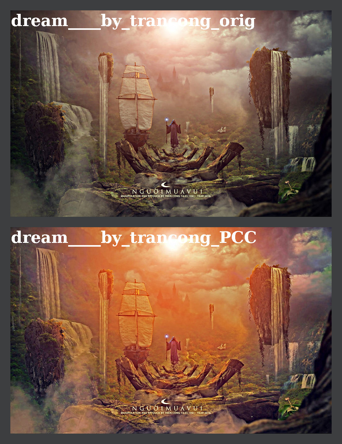 dream____by_trancong_montage.jpg