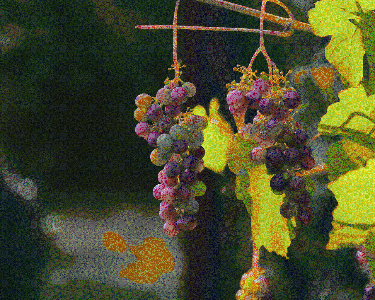 grapes-1659118_DN_MultiColouredParticles-NoBorders.jpg