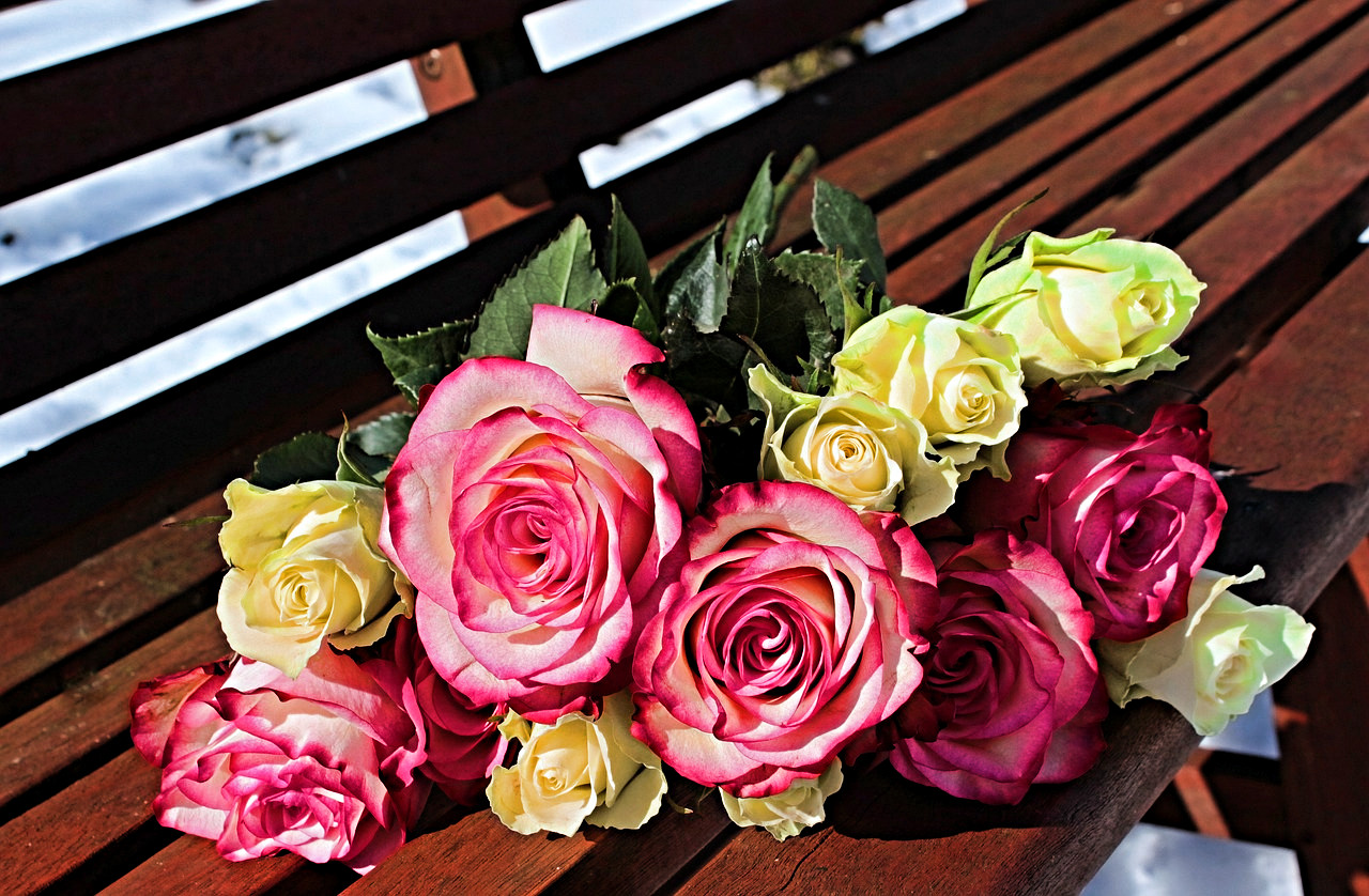 bouquet-of-roses-DN_PlusColourContrast.jpg