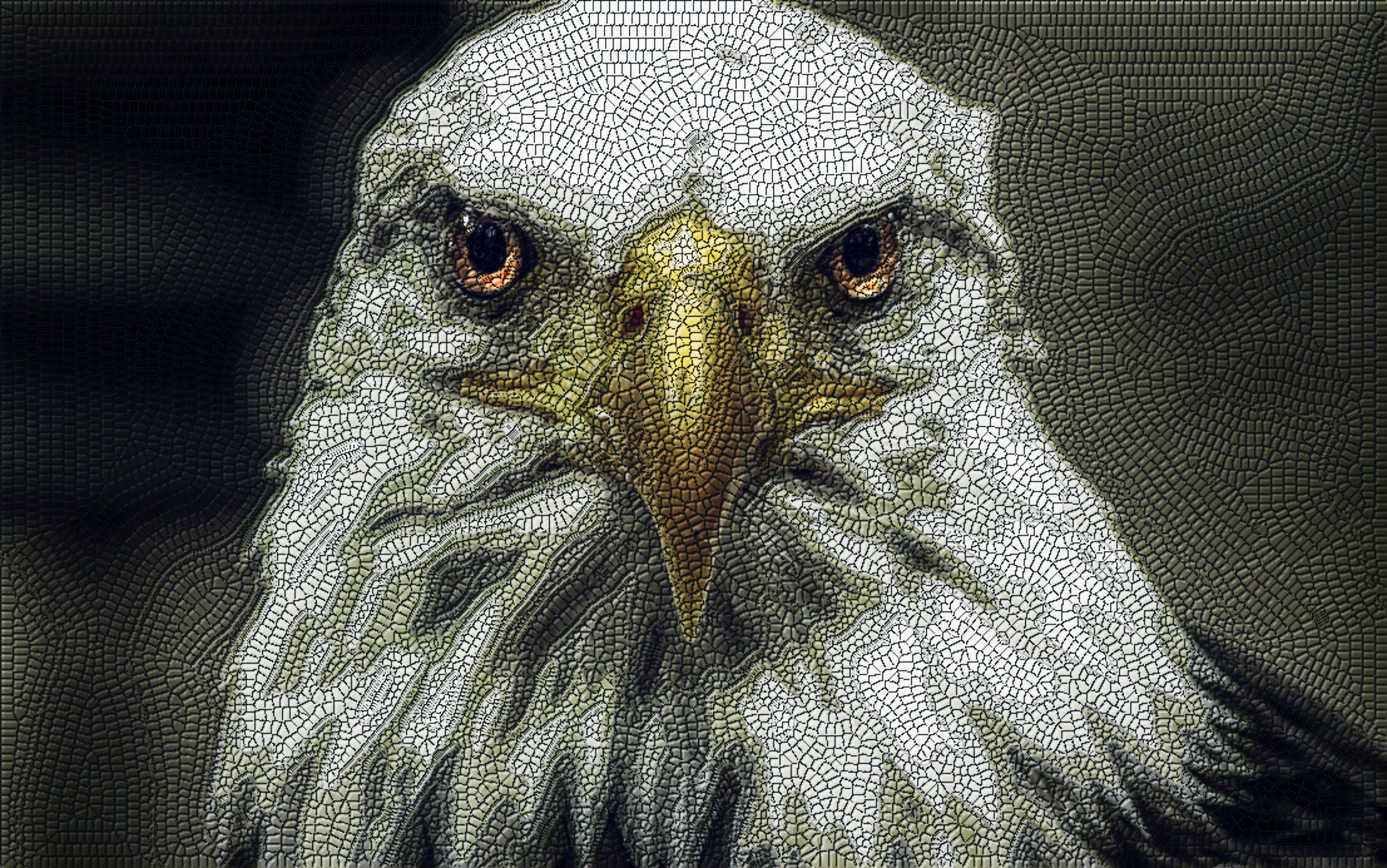 bald-eagle-haliaeetus-DN_MosaicLyleStyle.jpg