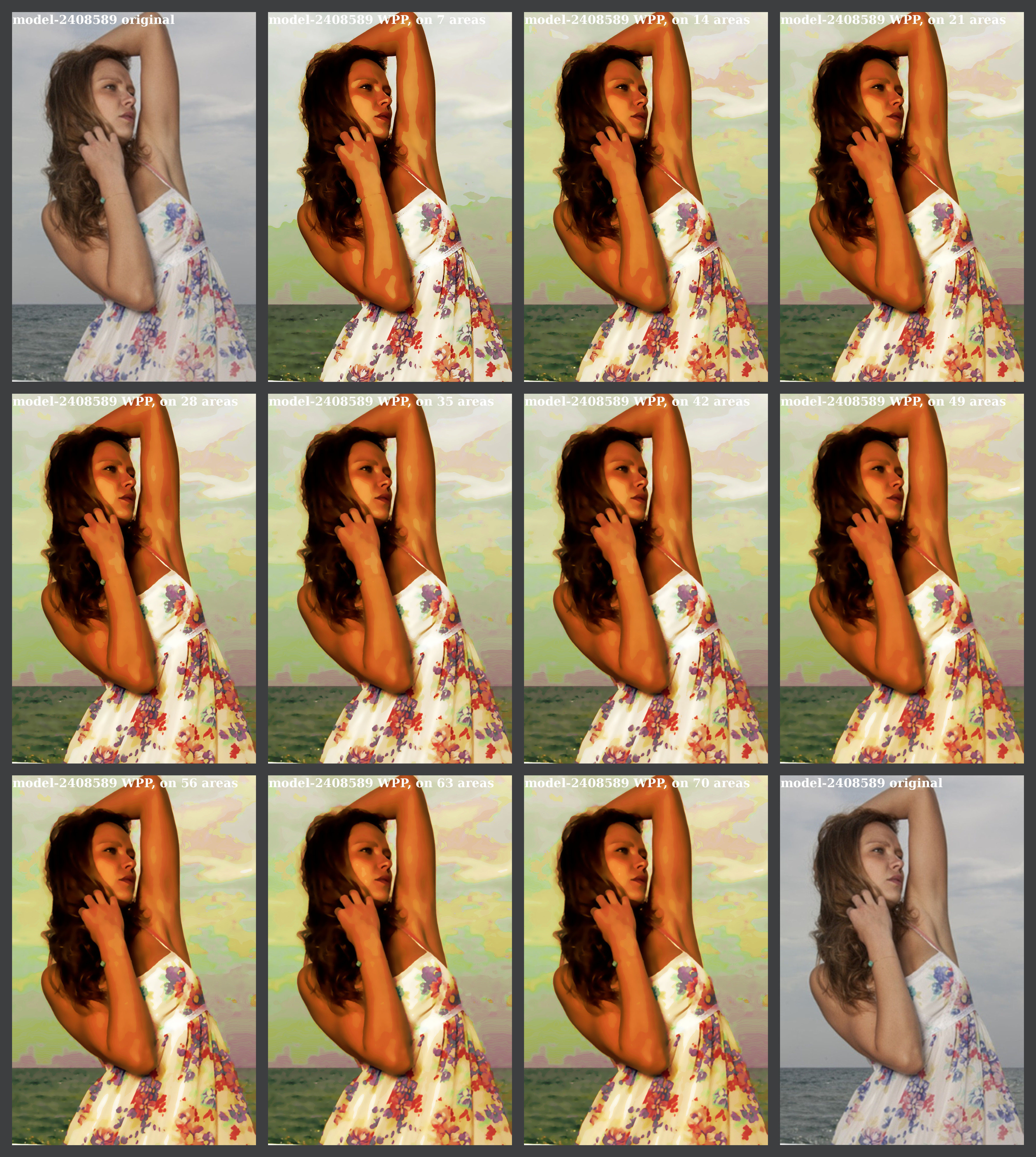 model-2408589 montage.jpg