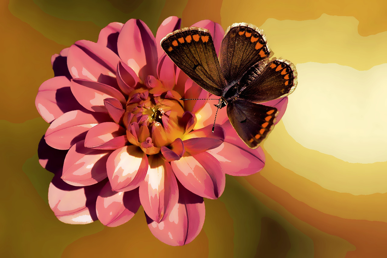 flower-2012611_DN_WaterPastelPoster_28.jpg