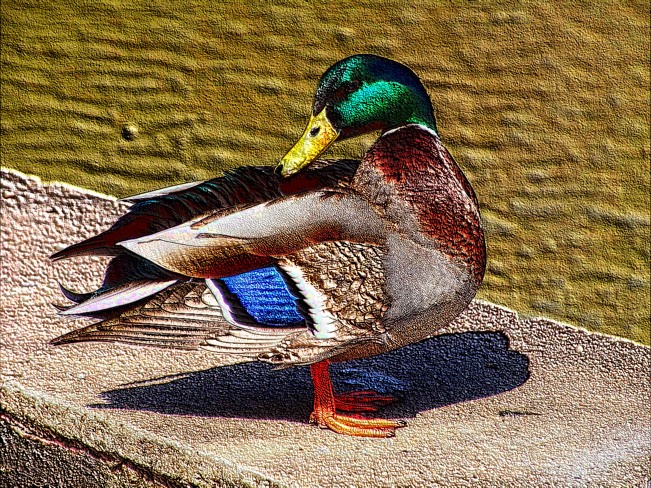 animal-200823_DN_ColouredEmboss.jpg