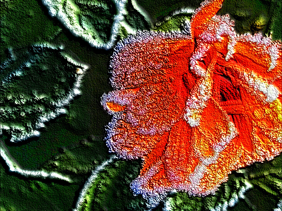 Daimiel_ice_45_DN_ColouredEmboss.jpg