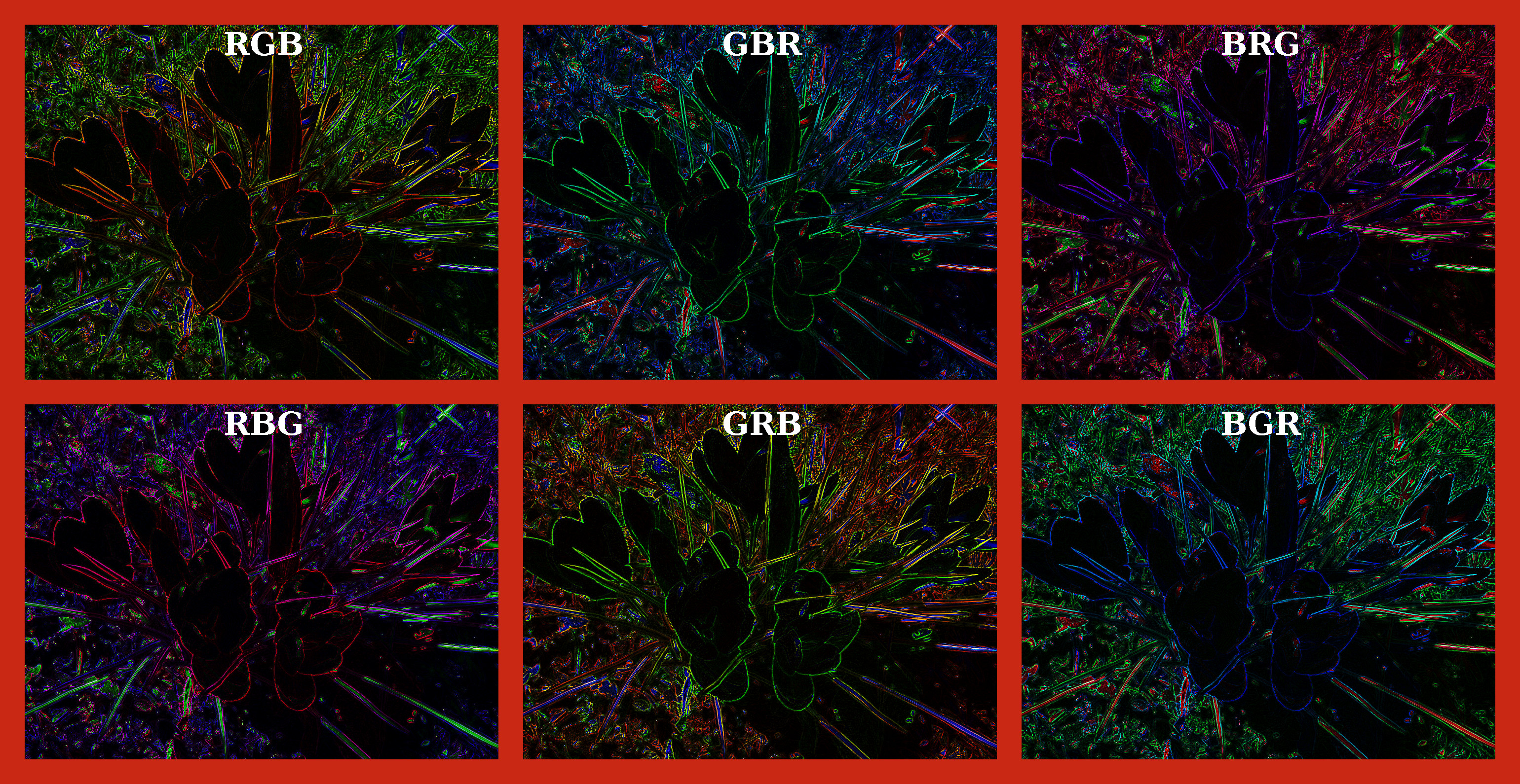2017-10-05 10-11-49 crocus-6131_960_720 Outcome of DrawOnBlack with 6 colours rotations.jpg