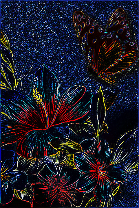 FlowersandButterfly_DN_CrazyDrawOnDark.jpg