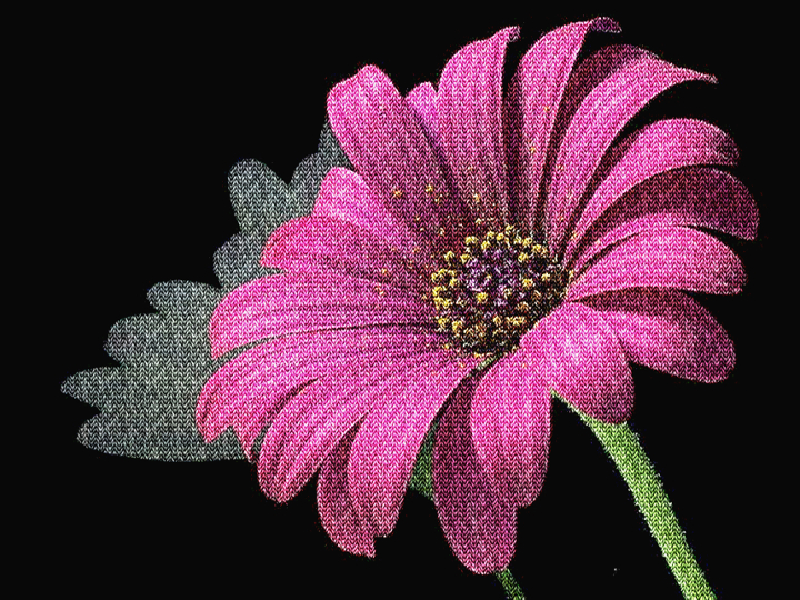 Dinasset.Knitted.Single Flower.jpg