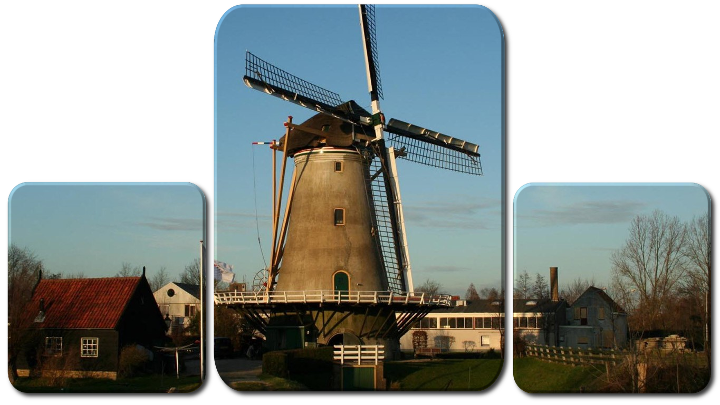 TinTran.Wallace Panels.Holland Windmills.png