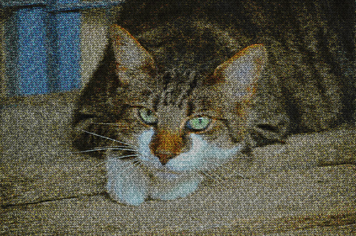 Dinasset.Plain Knit.Tabby Cat.jpg