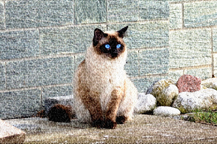 Dinasset.Knitted.Siamese Cat.jpg