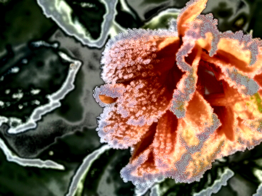 Daimiel_ice_45_DN_GradientMapped_Metallized.jpg