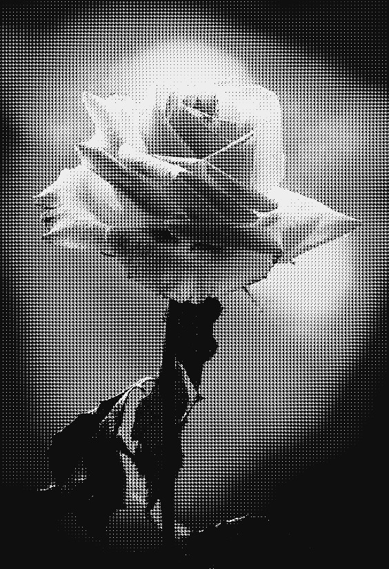 2aba99c9b25_DN_GreyscaleDither.jpg