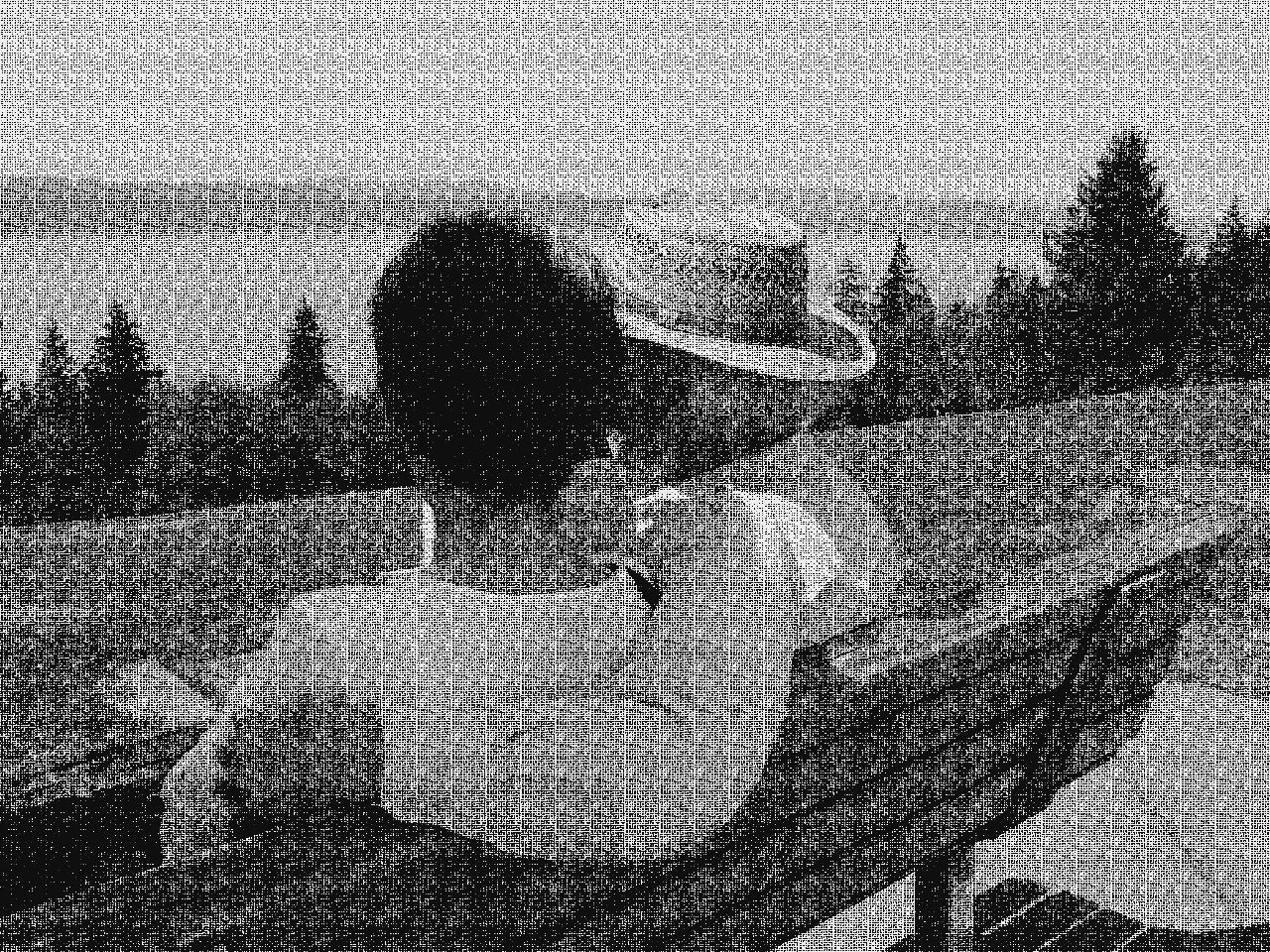 couple-1353561_DN_GreyscaleDither.jpg