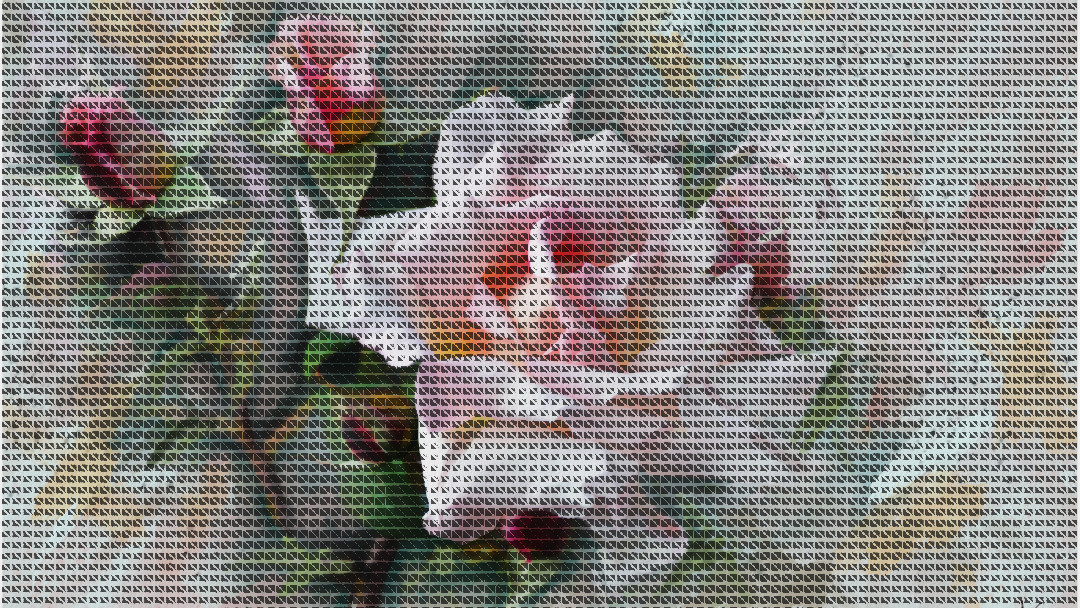 47270_DN_GreyscaleDither.jpg