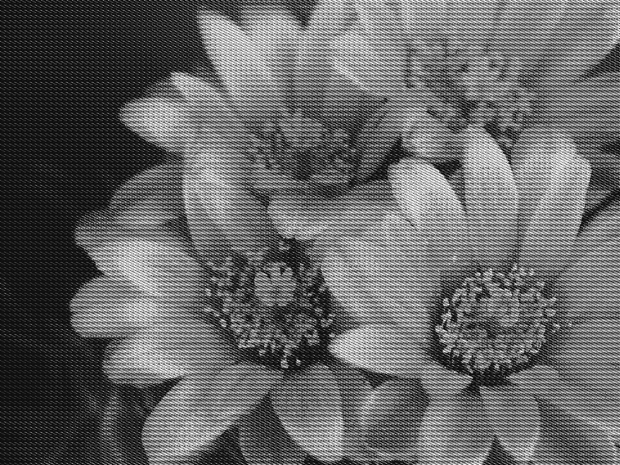 cactus-191_DN_GreyscaleDither.jpg