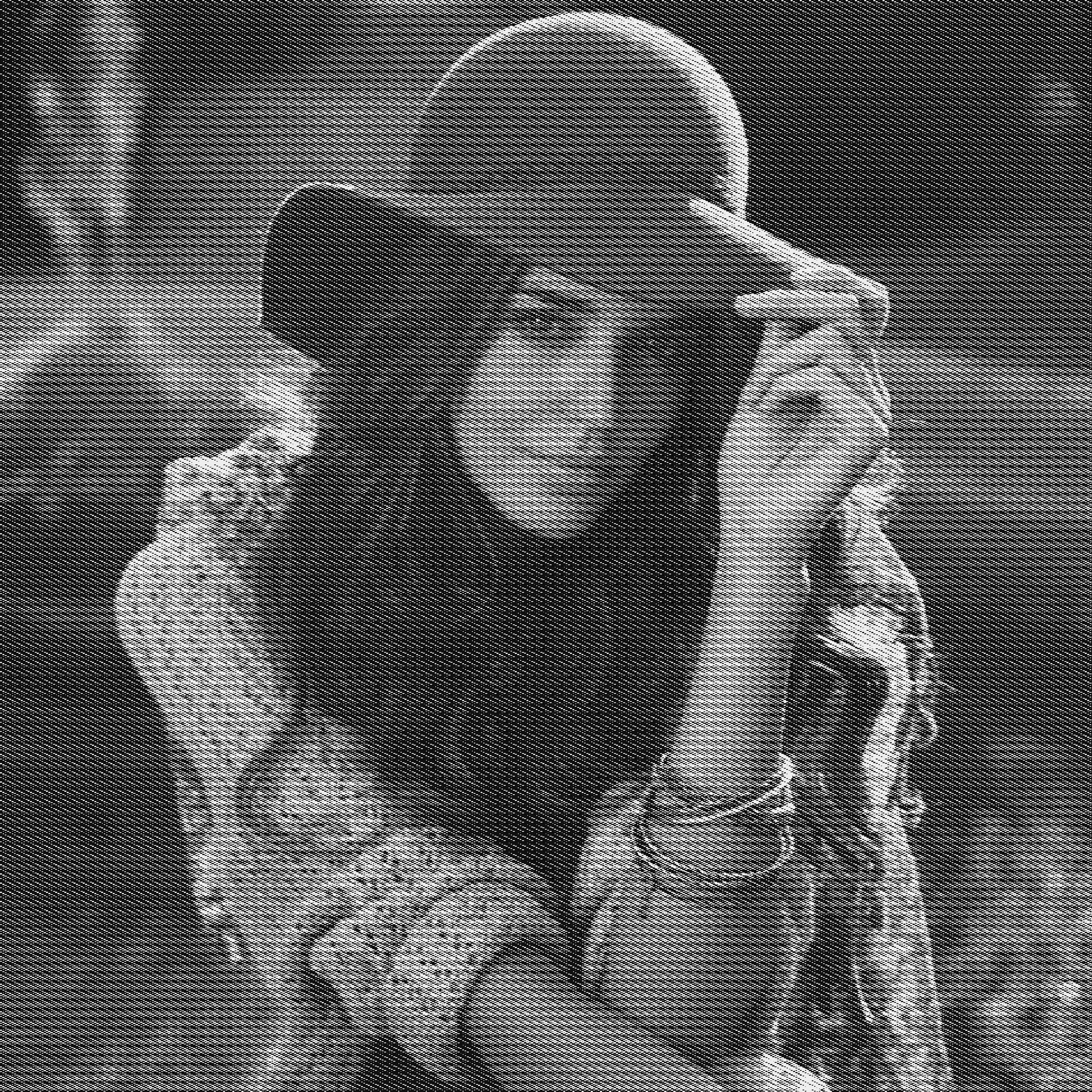 83579_DN_GreyscaleDither.jpg