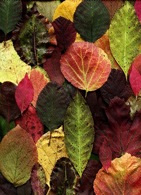 9c7587cc3e9_DN_NewSprintDither.jpg