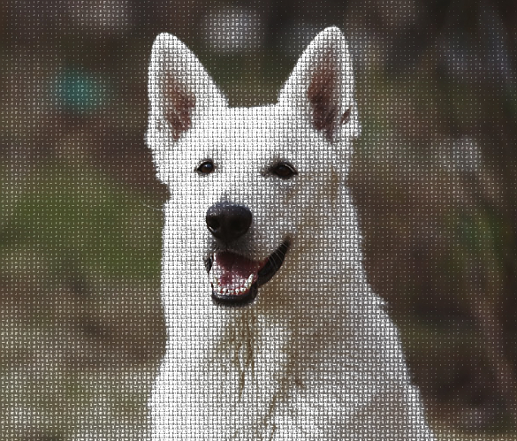 Dinasset.Greyscale.Frosty.jpg