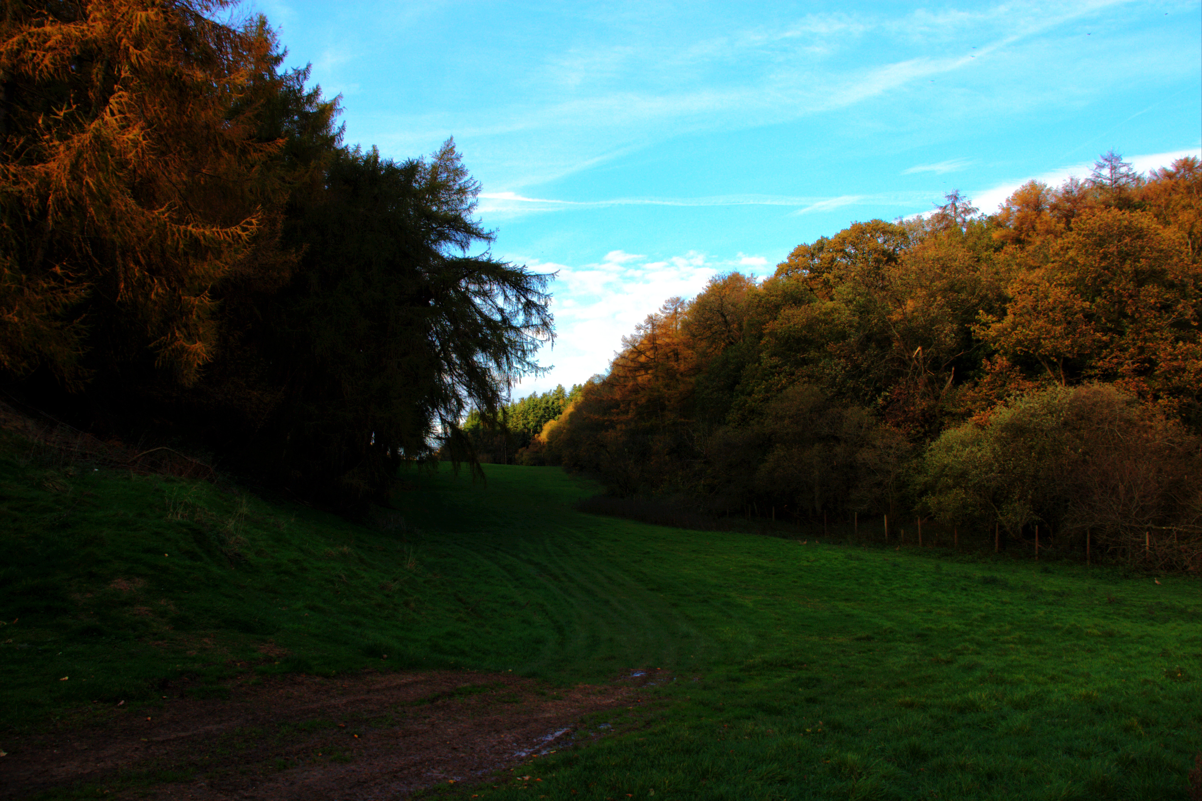IMG_2624-dn1.jpg
