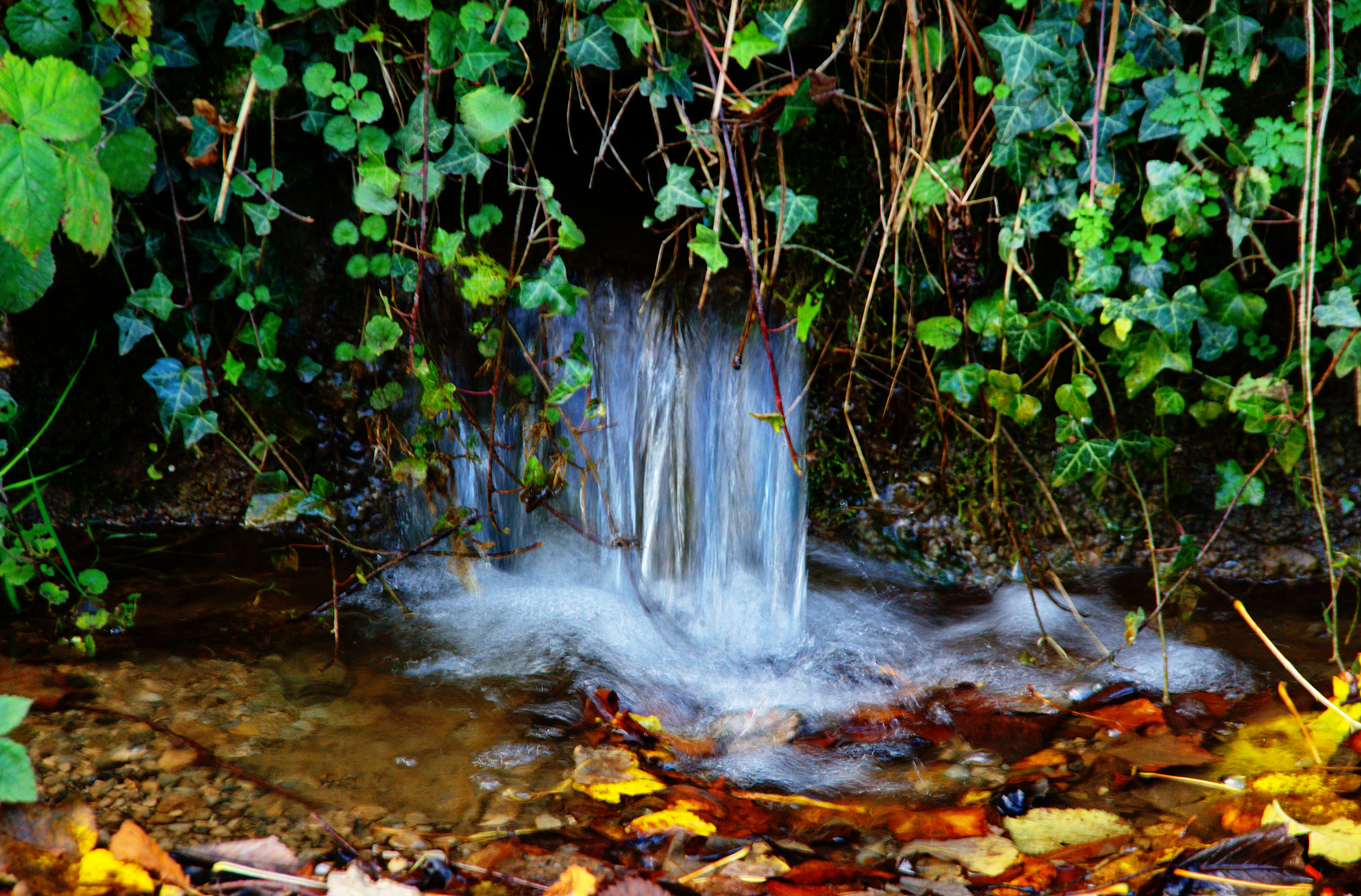 stream.jpg