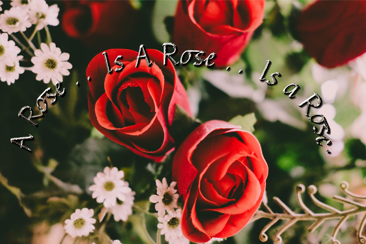 Skinnyhouse.Joined text.Rose.jpg