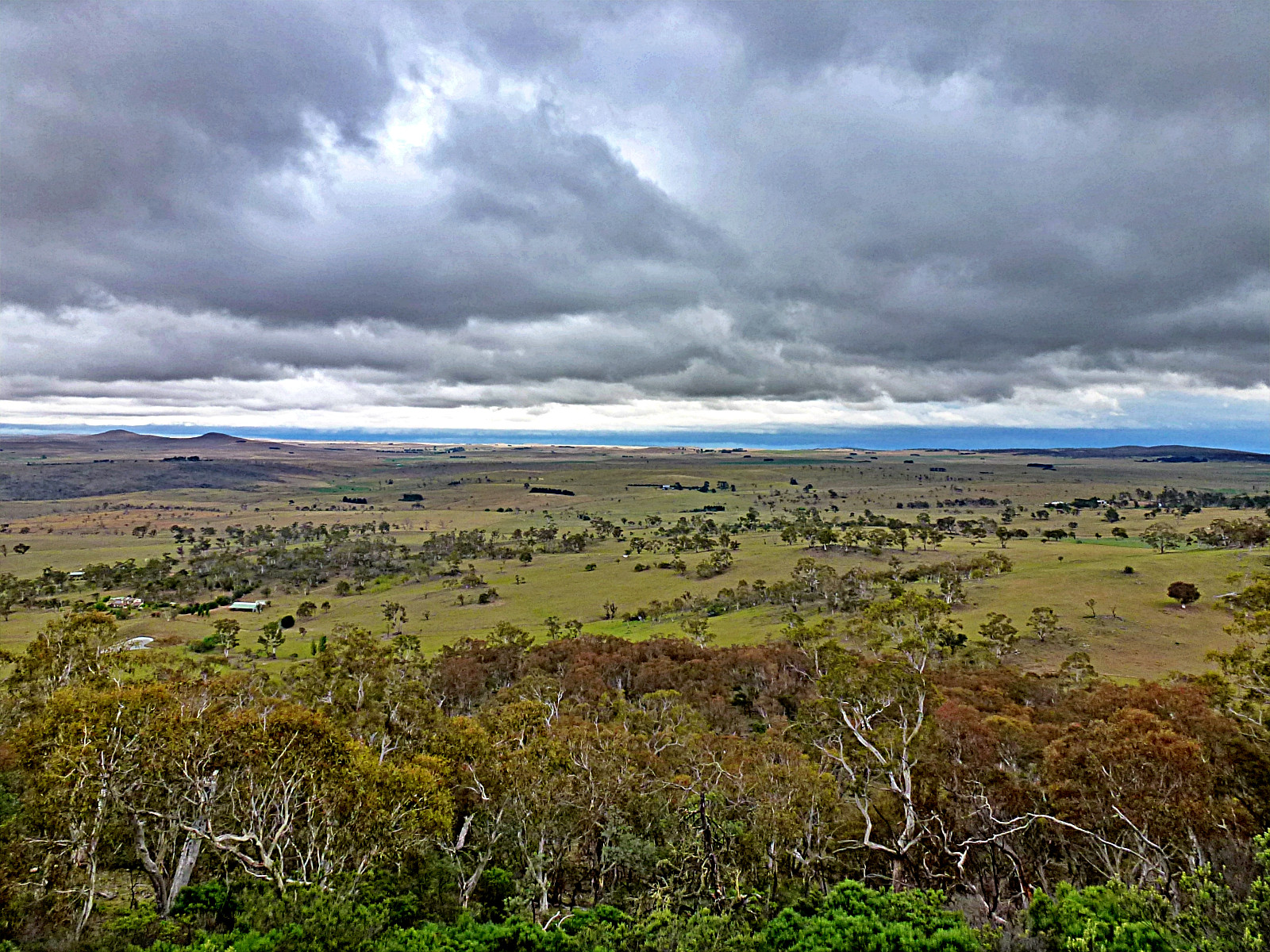 monaro_high_plains_MyTry_Issa.jpg