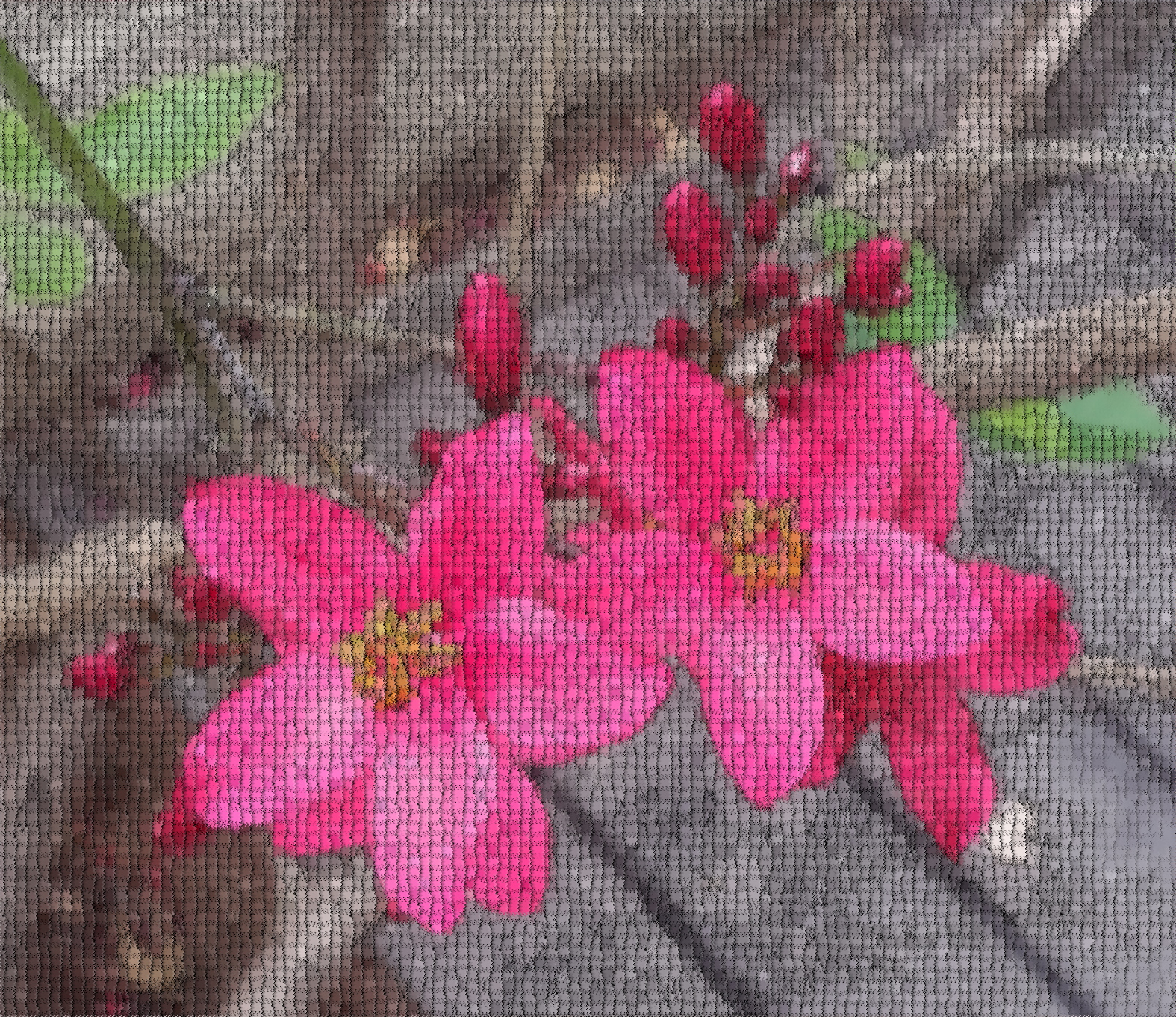 20140506_092756_Crop%2002_GIMPonly.jpg