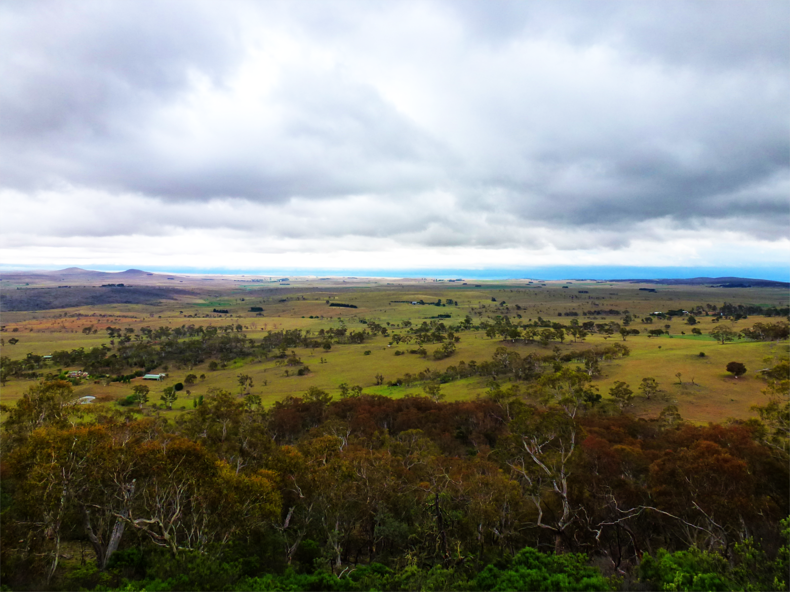 monaro_high_plains-dn1.png