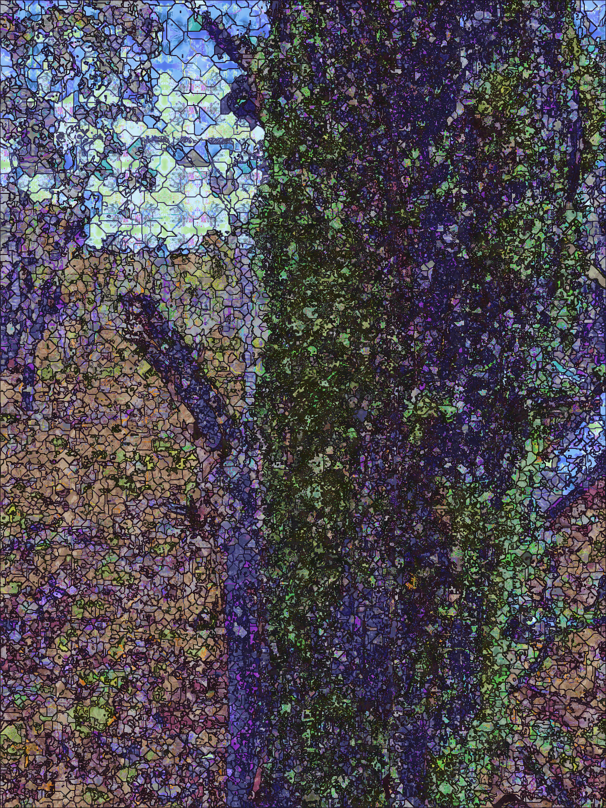 tree_moss-dn2.png