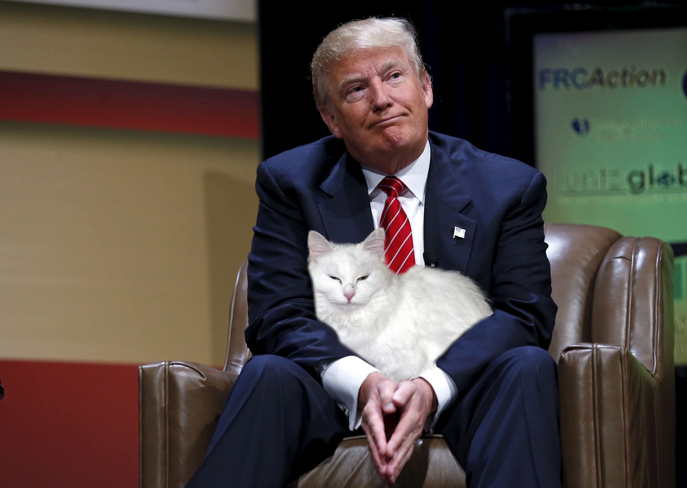 TrumpedSnow.jpg