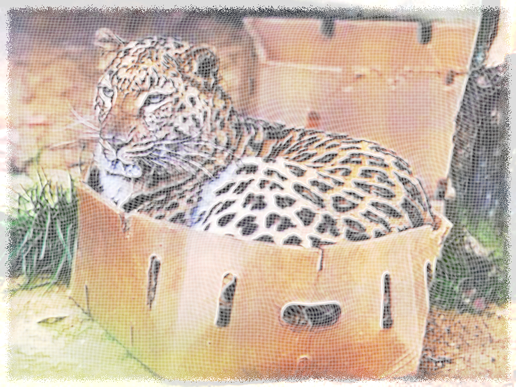 Diego Wiremap 2.99 Gimp Eval.Leopard.jpg