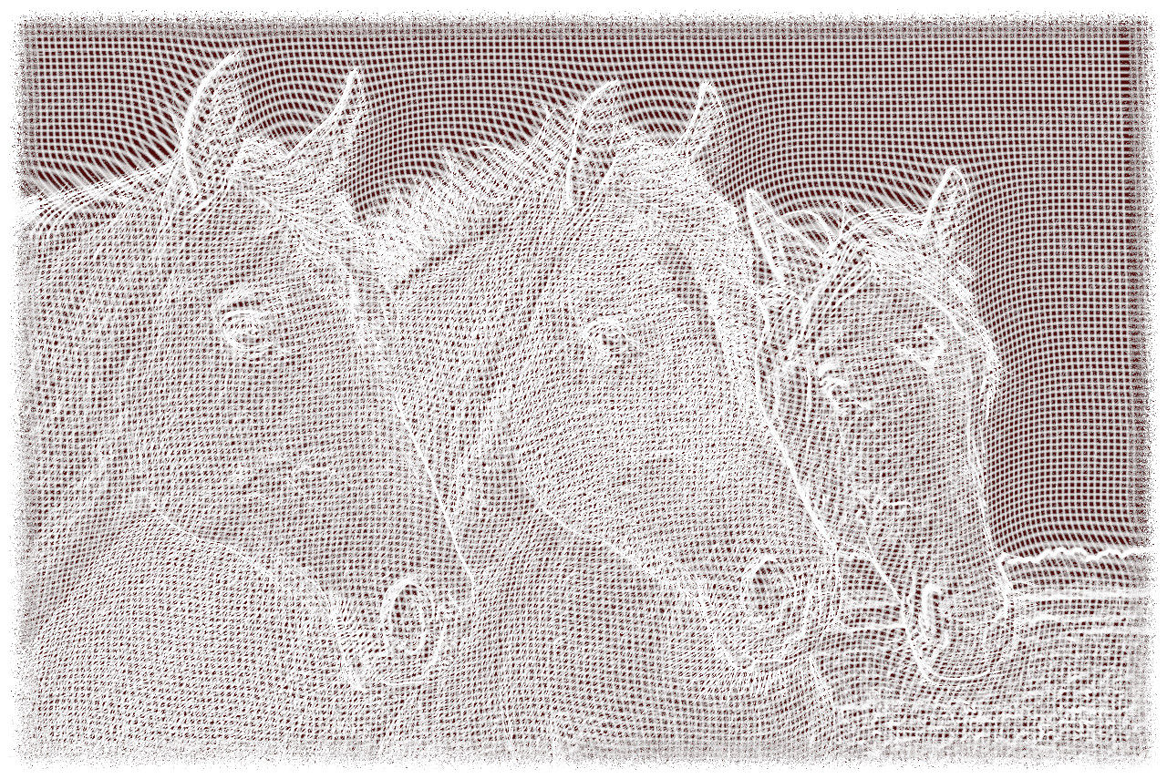 horses_1414_DN_WireframemapSE299_gimp299.jpg