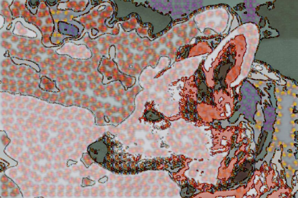 dog-1755756_DN_DecorationThroughPaths-StretchColoursG299.jpg