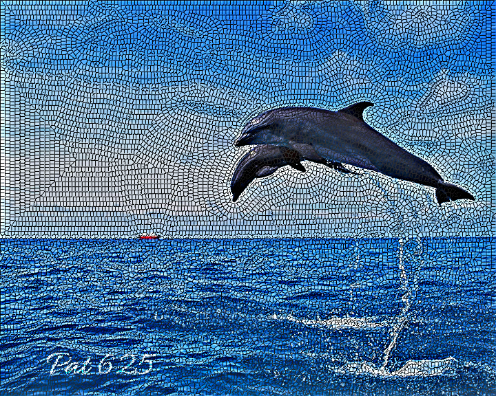 DN.Lyle.Mosaic.Jumping Dollphins.jpg