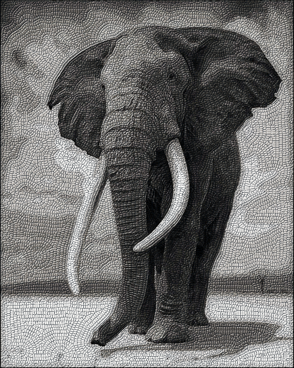 Diego.LyleStyleMosaic.Elephant BW.jpg