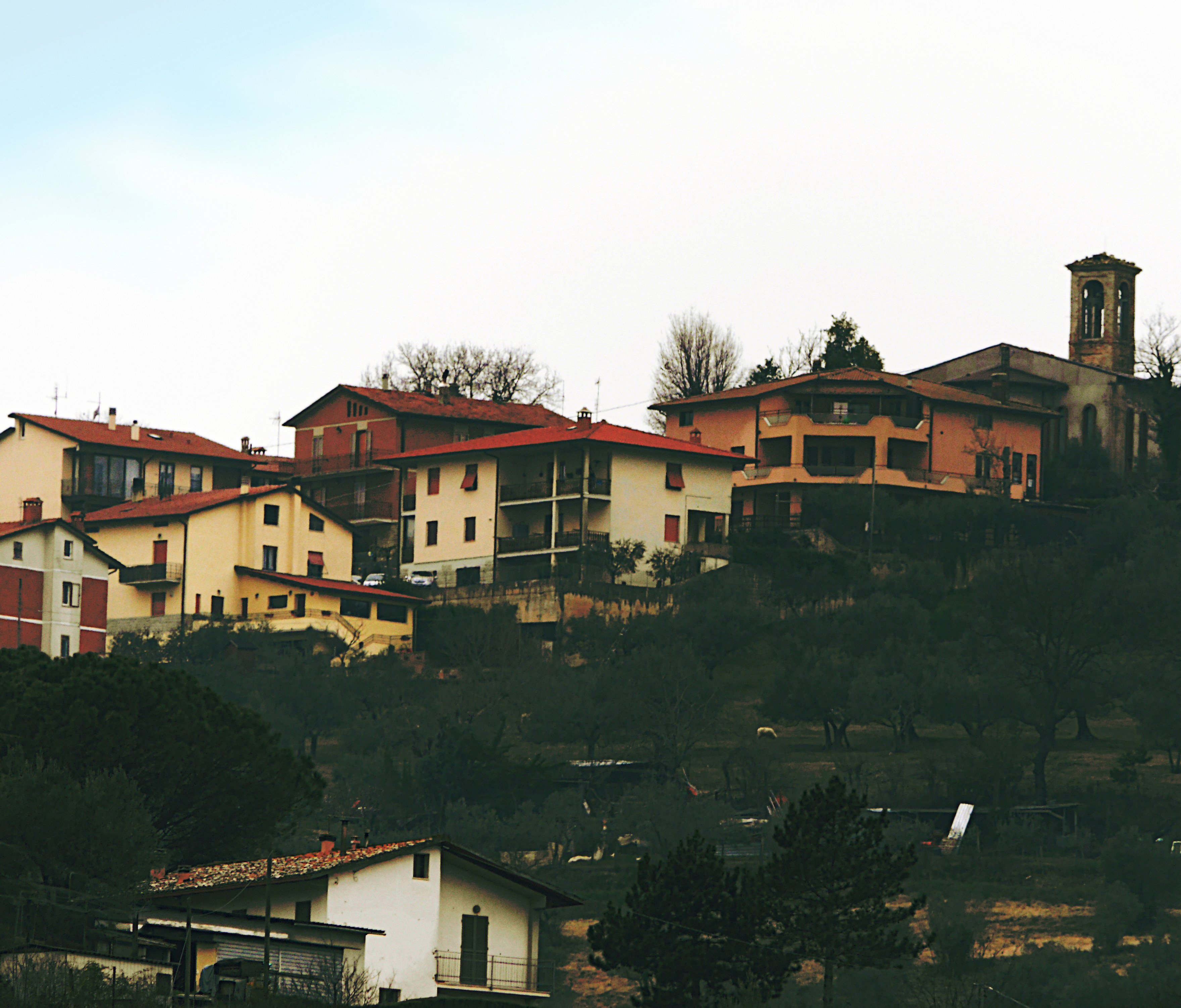 1831_Overexposed_photo-dn1.jpg