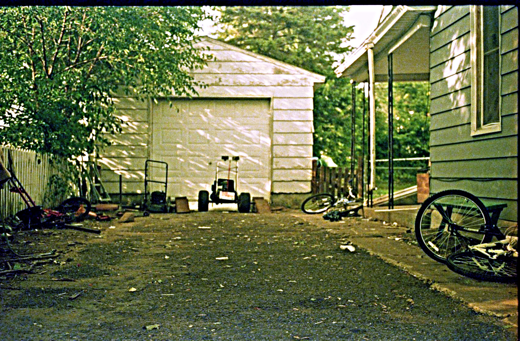 1831_15046454788_0052bf817a_o auto white balanced (moderate).jpg