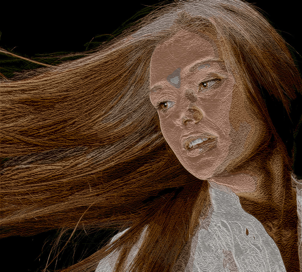 LongHairedGirl_DN_EasyPaintLookB_Gimp299.jpg