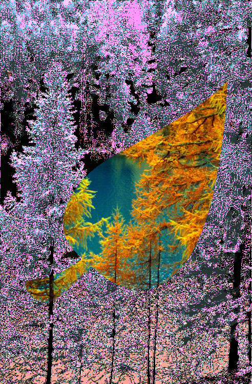 d13df2c09_DN_CrazyColouring_Gimp299_Selection_LI_Colour.jpg