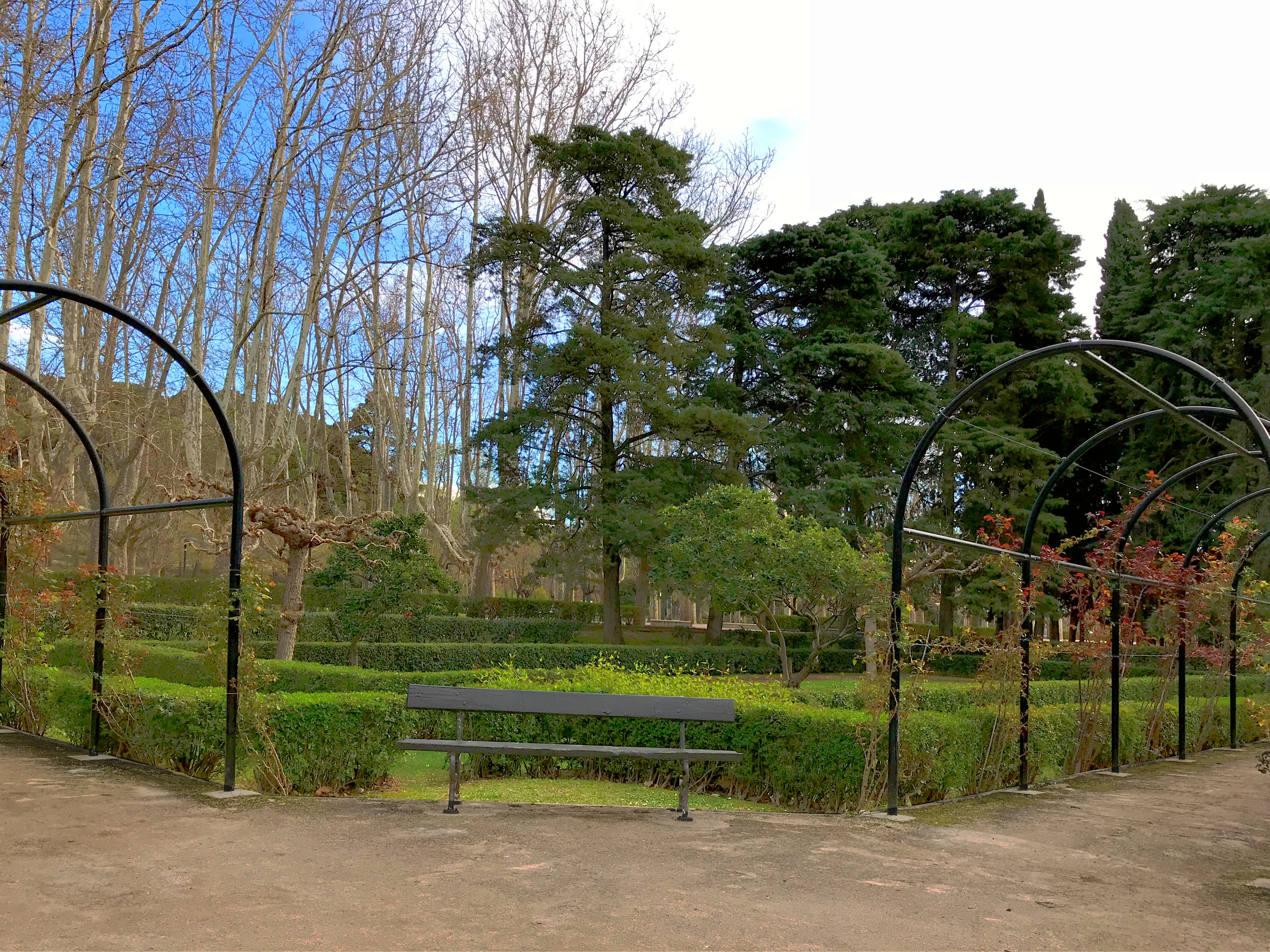 park.jpg