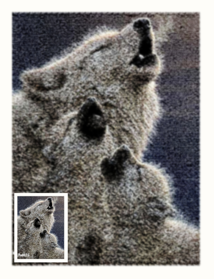 Diego.Pic in Pic.Wolves.Gimp 2.10.jpg