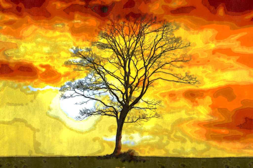 branches-dawn-dusk-274836_DN_QuickWatercolour_GimpEval-2.jpg