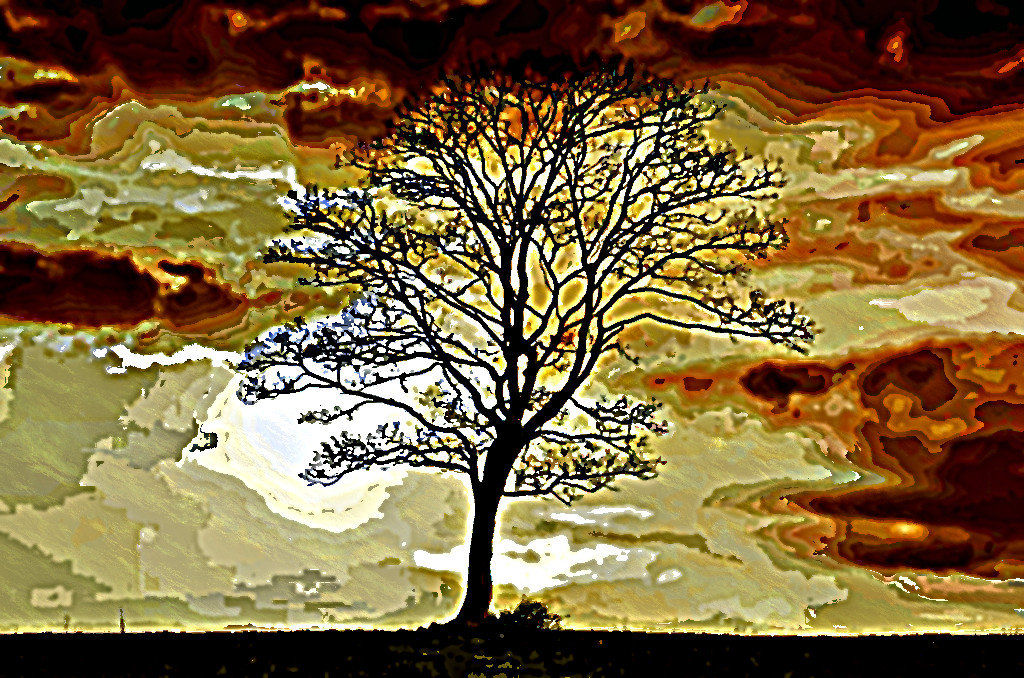 branches-dawn-dusk-274836_DN_SortOfAnguish_GimpEval-2.jpg
