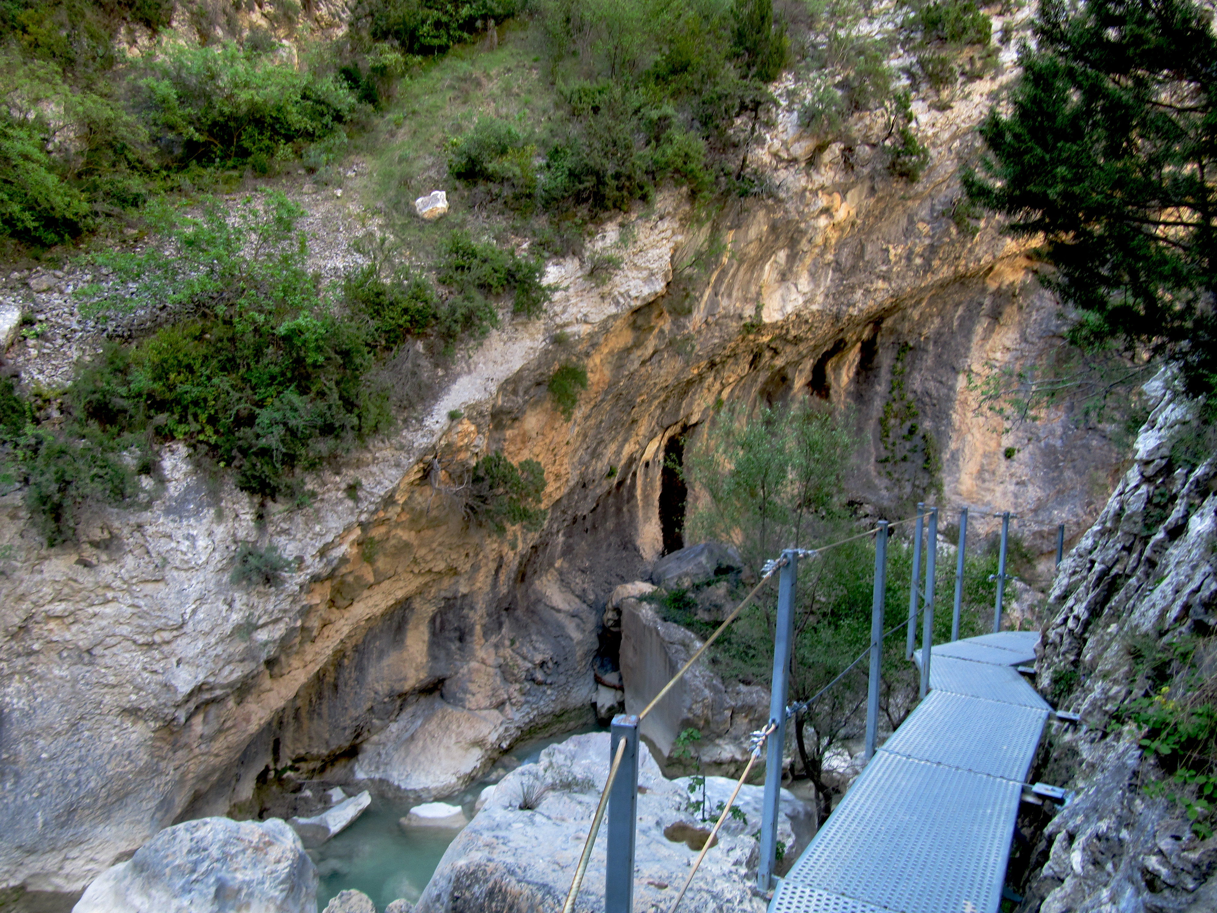 IMG_4820-dn1.JPG