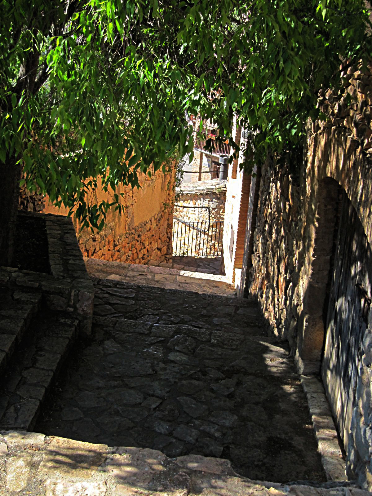 IMG_5966-dn1.JPG