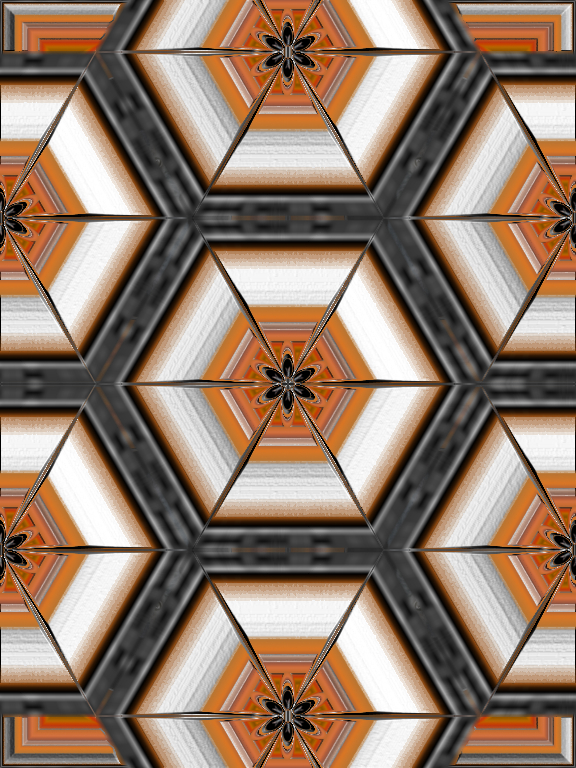 Tin Tran_Kaleidoscope.Gray cat in frame.jpg